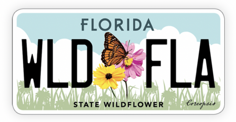 Wildflower Specialty Plate